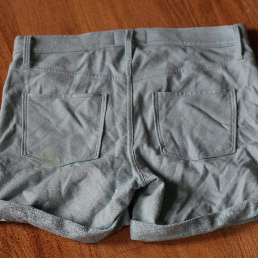 Teal Shorts